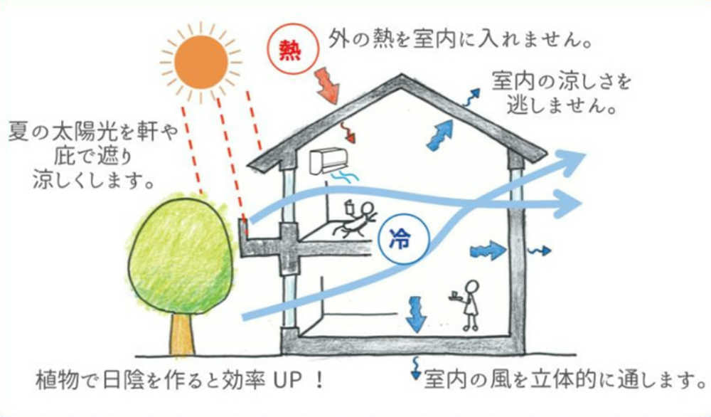 夏の自然エネルギー