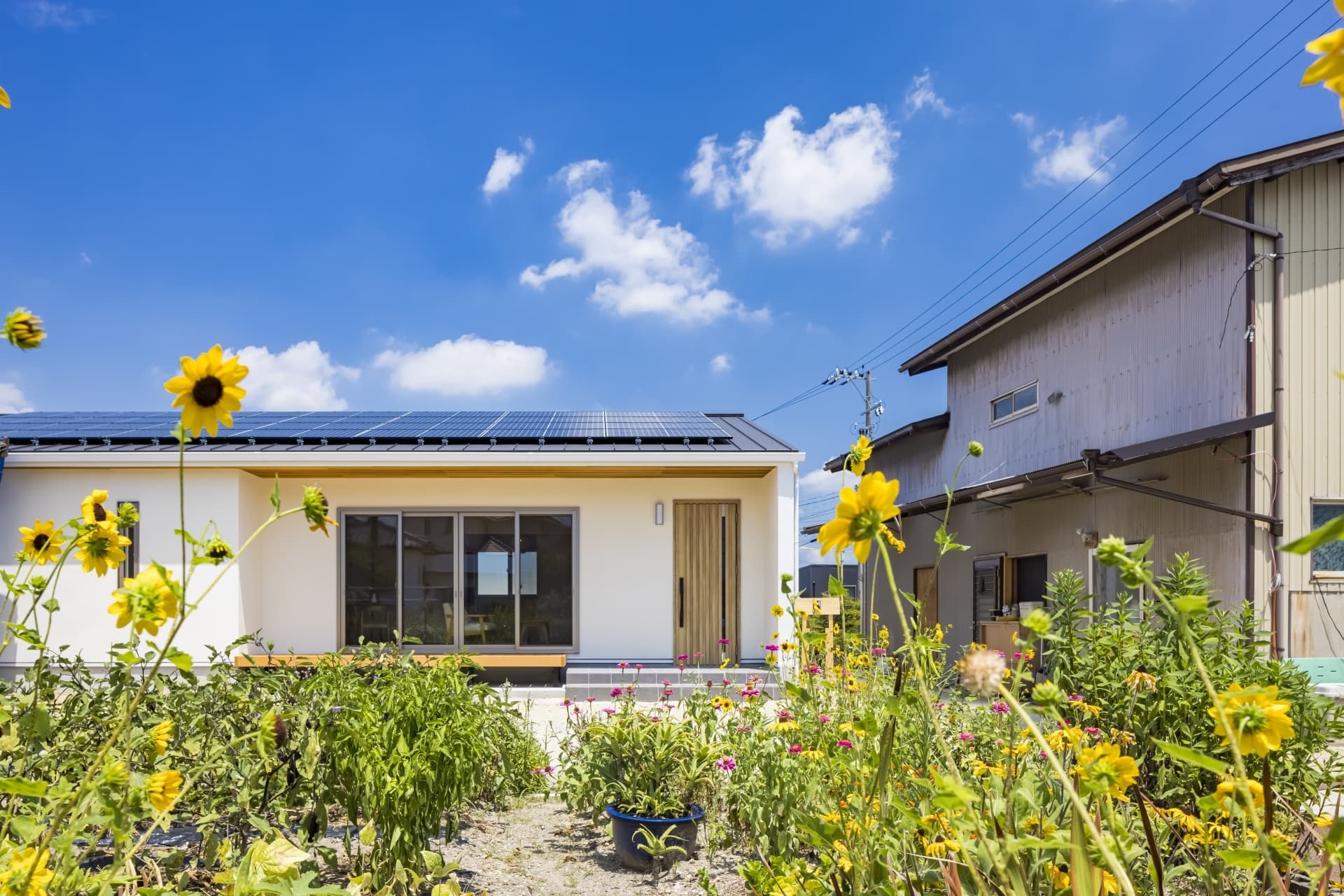 太陽光パネルのある平屋住宅